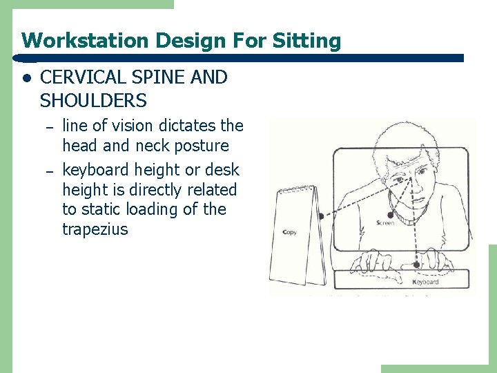 Workstation Design For Sitting l CERVICAL SPINE AND SHOULDERS – – line of vision