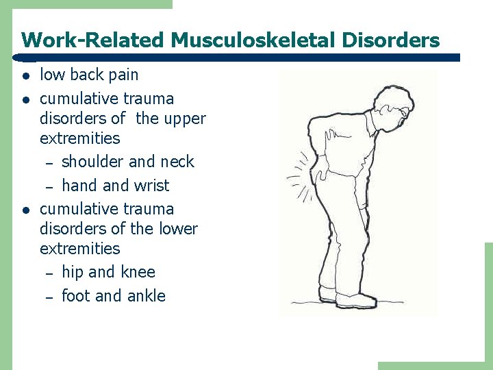Work-Related Musculoskeletal Disorders l low back pain cumulative trauma disorders of the upper extremities