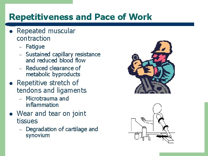Repetitiveness and Pace of Work l Repeated muscular contraction – – – l Repetitive