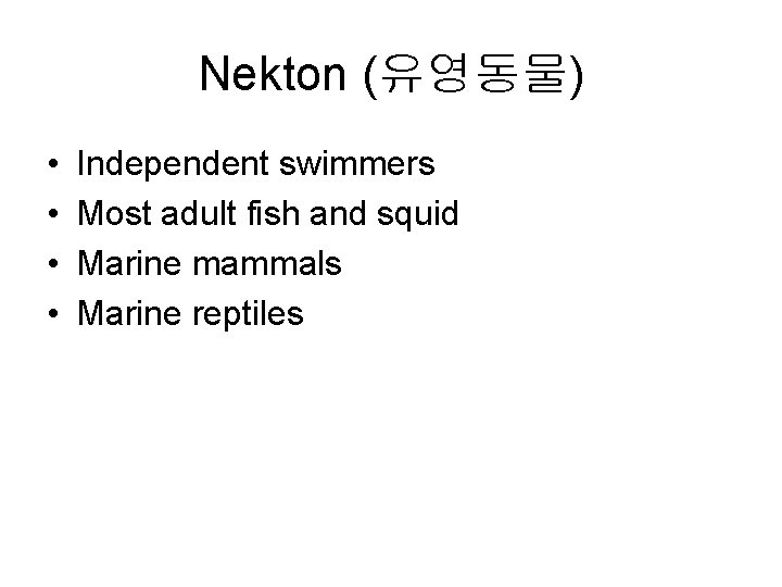 Nekton (유영동물) • • Independent swimmers Most adult fish and squid Marine mammals Marine Nekton (유영동물) • • Independent swimmers Most adult fish and squid Marine mammals Marine