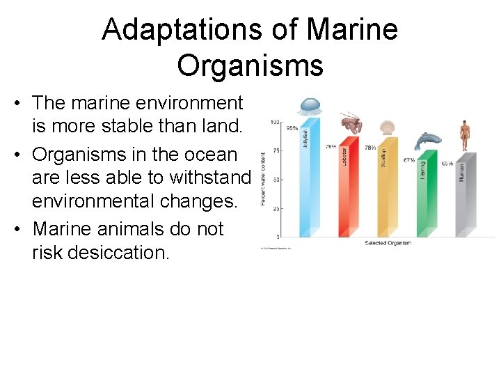 Adaptations of Marine Organisms • The marine environment is more stable than land. • Adaptations of Marine Organisms • The marine environment is more stable than land. •