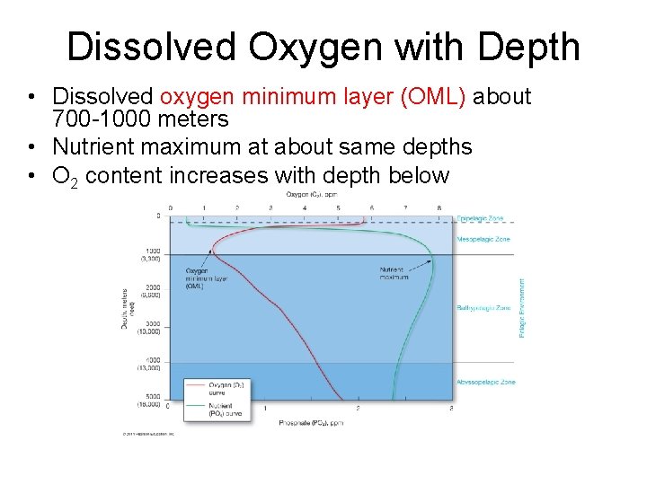 Dissolved Oxygen with Depth • Dissolved oxygen minimum layer (OML) about 700 -1000 meters Dissolved Oxygen with Depth • Dissolved oxygen minimum layer (OML) about 700 -1000 meters