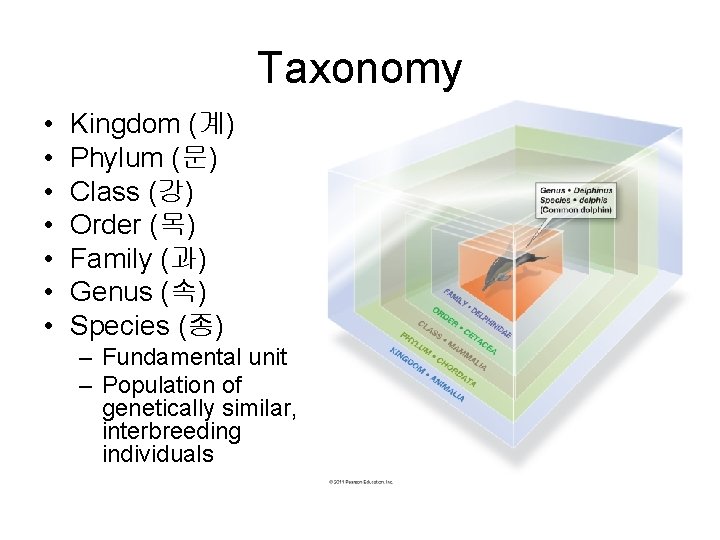 Taxonomy • • Kingdom (계) Phylum (문) Class (강) Order (목) Family (과) Genus Taxonomy • • Kingdom (계) Phylum (문) Class (강) Order (목) Family (과) Genus
