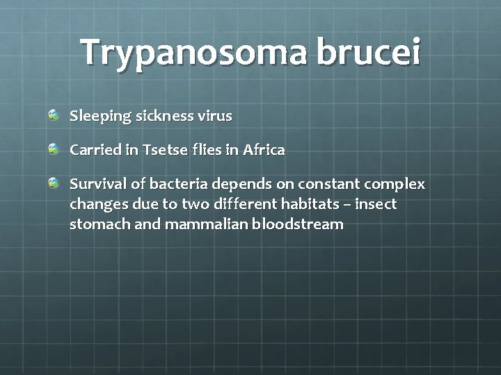 Trypanosoma brucei Sleeping sickness virus Carried in Tsetse flies in Africa Survival of bacteria