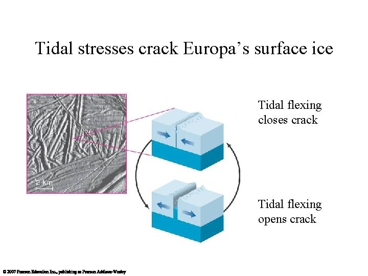 Tidal stresses crack Europa’s surface ice Tidal flexing closes crack Tidal flexing opens crack