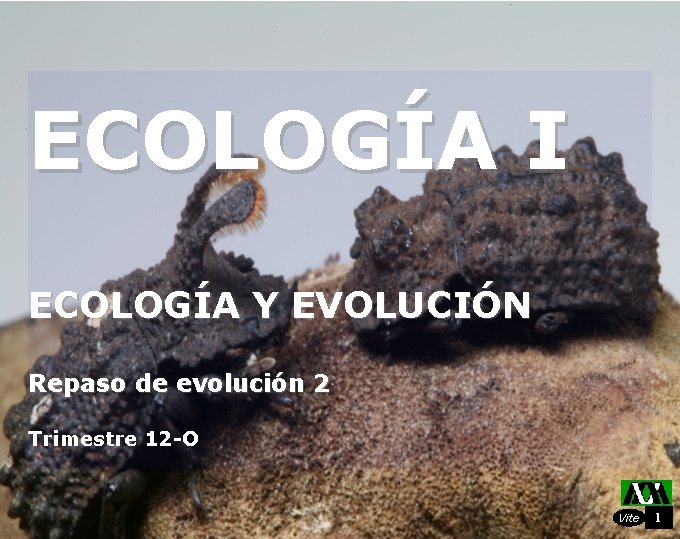 ECOLOGÍA I ECOLOGÍA Y EVOLUCIÓN Repaso de evolución 2 Trimestre 12 -O Vite 1