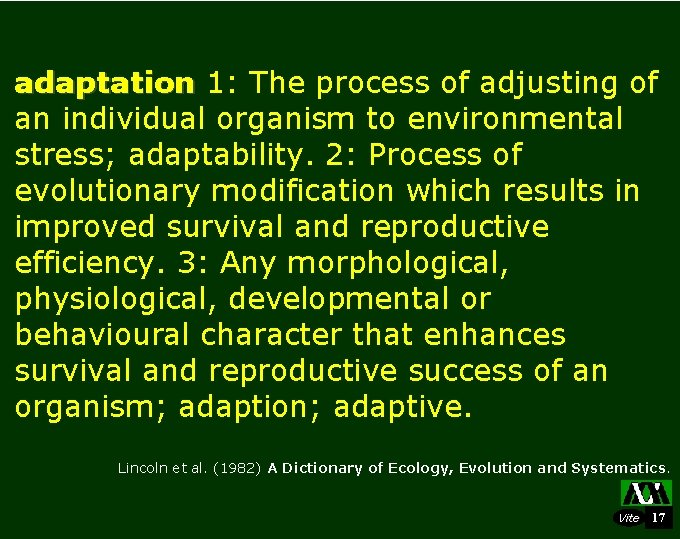 adaptation 1: The process of adjusting of an individual organism to environmental stress; adaptability.