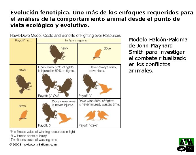 Evolución fenotípica. Uno más de los enfoques requeridos para el análisis de la comportamiento