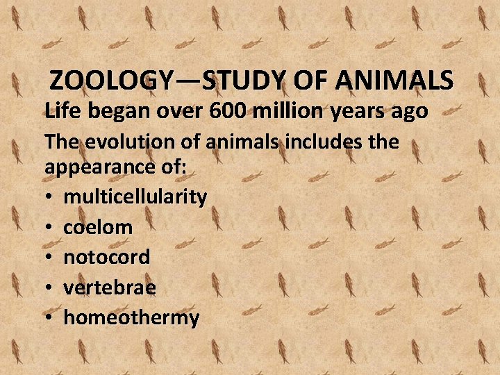 ZOOLOGY—STUDY OF ANIMALS Life began over 600 million years ago The evolution of animals