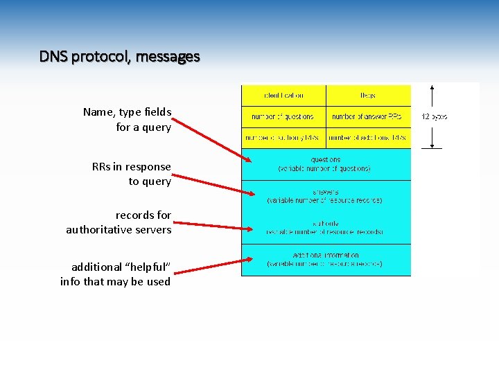 DNS protocol, messages Name, type fields for a query RRs in response to query