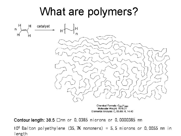What are polymers? Contour length: 38. 5 �nm or 0. 0385 microns or 0.