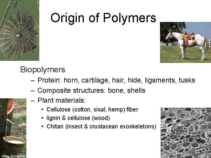 Origin of Polymers Biopolymers – Protein: horn, cartilage, hair, hide, ligaments, tusks – Composite