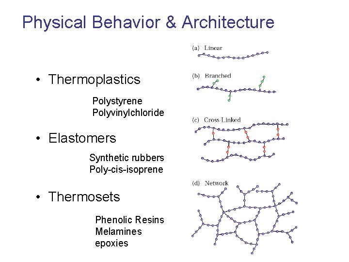 Physical Behavior & Architecture • Thermoplastics Polystyrene Polyvinylchloride • Elastomers Synthetic rubbers Poly-cis-isoprene •