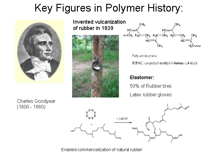 Key Figures in Polymer History: Invented vulcanization of rubber in 1839 Elastomer: 50% of