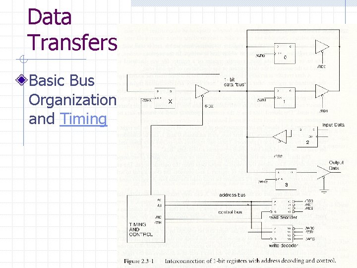 Data Transfers Basic Bus Organization and Timing 