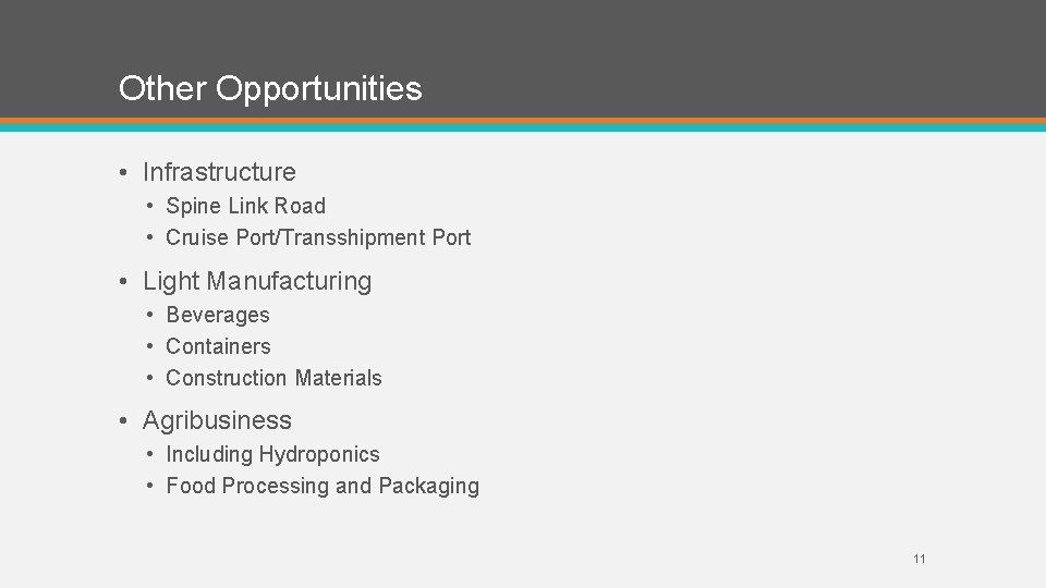 Other Opportunities • Infrastructure • Spine Link Road • Cruise Port/Transshipment Port • Light
