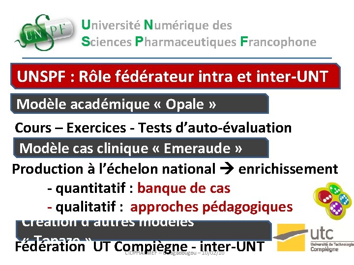 Université Numérique des Sciences Pharmaceutiques Francophone UNSPF : Rôle fédérateur intra et inter-UNT Modèle