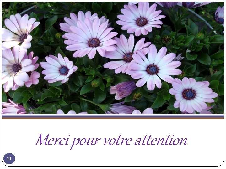 Merci pour votre attention 21 