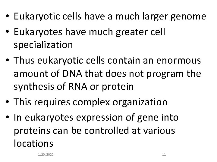  • Eukaryotic cells have a much larger genome • Eukaryotes have much greater