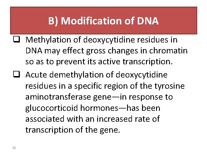 B) Modification of DNA q Methylation of deoxycytidine residues in DNA may effect gross