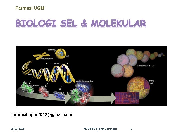 Farmasi UGM BIOLOGI SEL & MOLEKULAR farmasibugm 2012@gmail. com 28/03/2014 MODIFIED by Prof. Sismindari