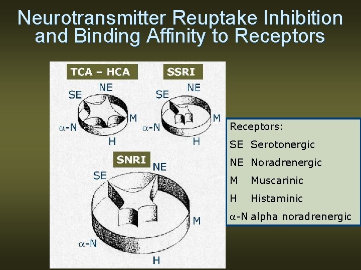 Neurotransmitter Reuptake Inhibition and Binding Affinity to Receptors: SE Serotonergic NE Noradrenergic M Muscarinic