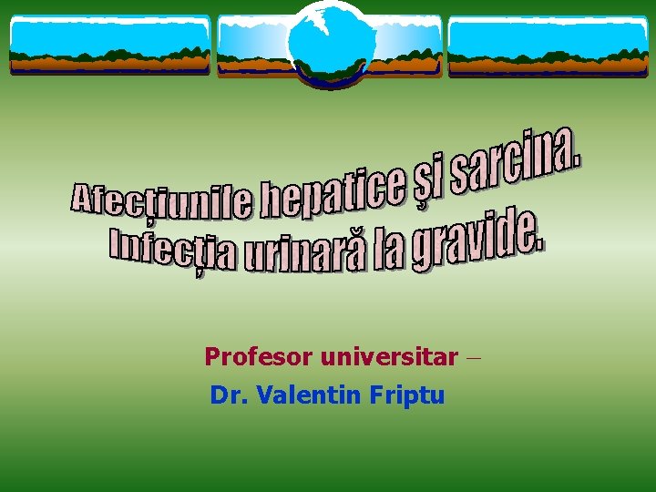 Profesor universitar – Dr. Valentin Friptu 