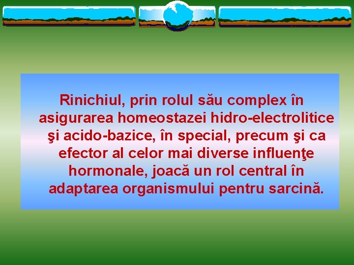 Rinichiul, prin rolul său complex în asigurarea homeostazei hidro-electrolitice şi acido-bazice, în special, precum