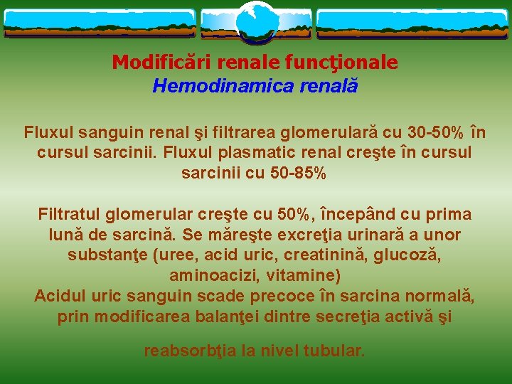 Modificări renale funcţionale Hemodinamica renală Fluxul sanguin renal şi filtrarea glomerulară cu 30 -50%