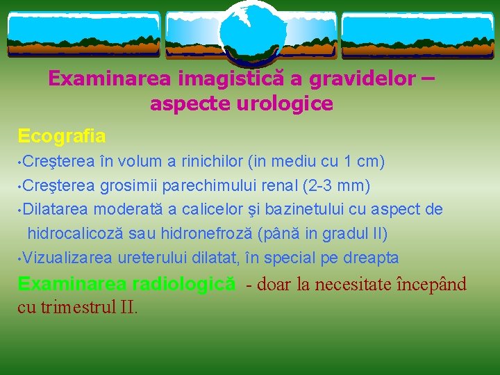 Examinarea imagistică a gravidelor – aspecte urologice Ecografia • Creşterea în volum a rinichilor