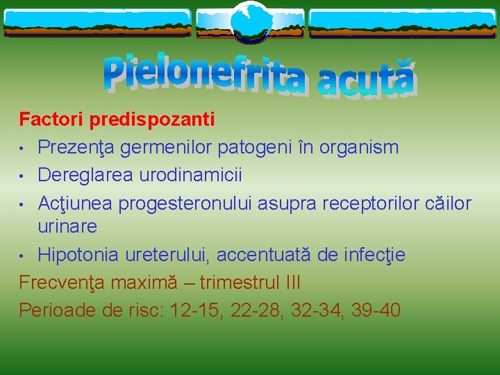 Factori predispozanti • Prezenţa germenilor patogeni în organism • Dereglarea urodinamicii • Acţiunea progesteronului
