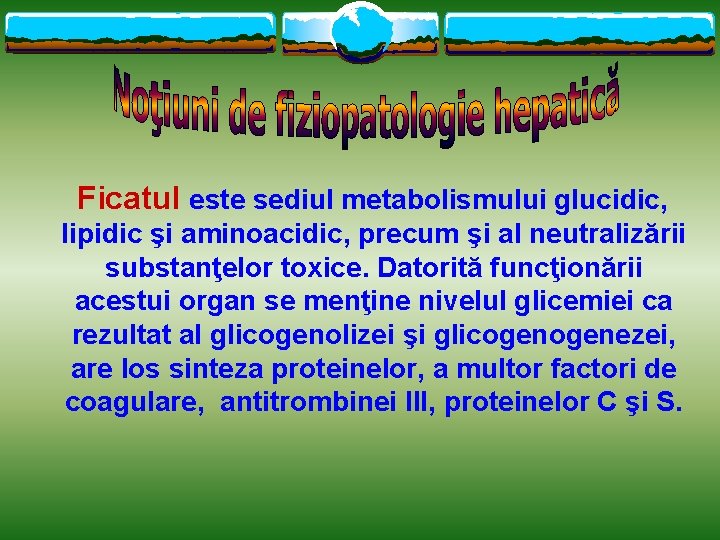 Ficatul este sediul metabolismului glucidic, lipidic şi aminoacidic, precum şi al neutralizării substanţelor toxice.