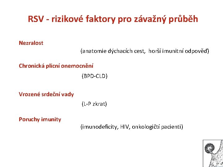 RSV - rizikové faktory pro závažný průběh Nezralost (anatomie dýchacích cest, horší imunitní odpověď)