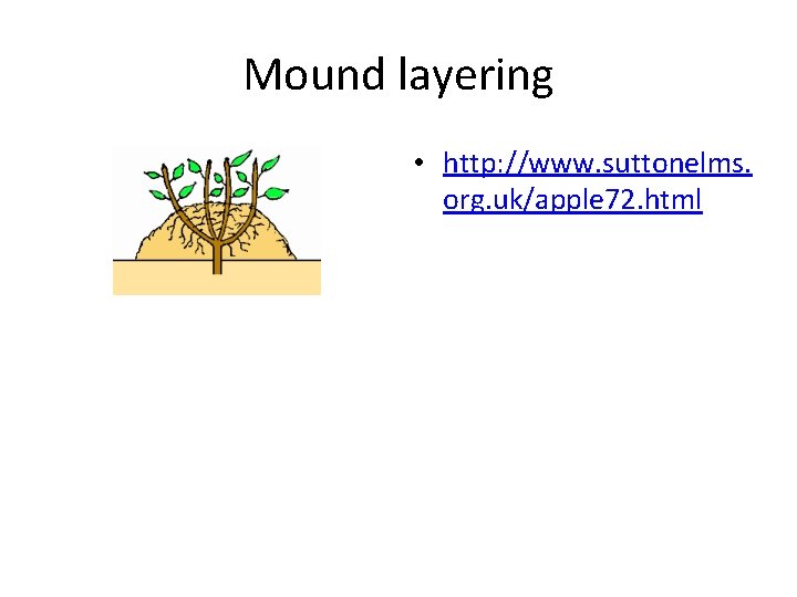 Mound layering • http: //www. suttonelms. org. uk/apple 72. html 