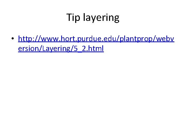 Tip layering • http: //www. hort. purdue. edu/plantprop/webv ersion/Layering/5_2. html 