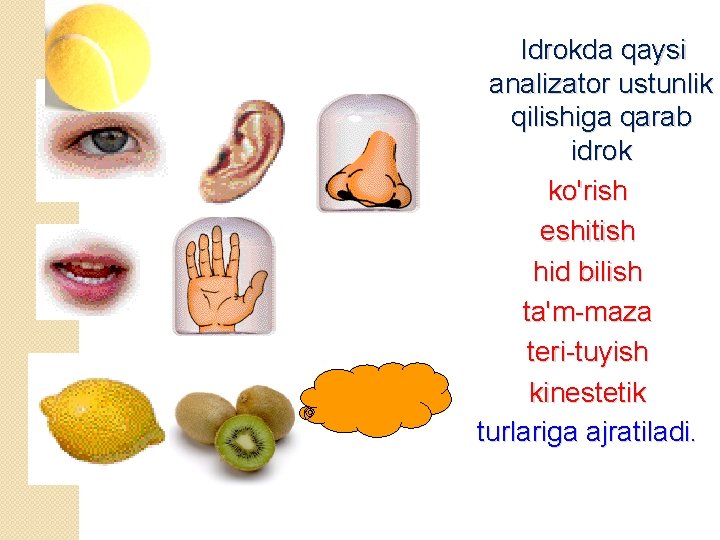 Idrokda qaysi analizator ustunlik qilishiga qarab idrok ko'rish eshitish hid bilish ta'm-maza teri-tuyish kinestetik