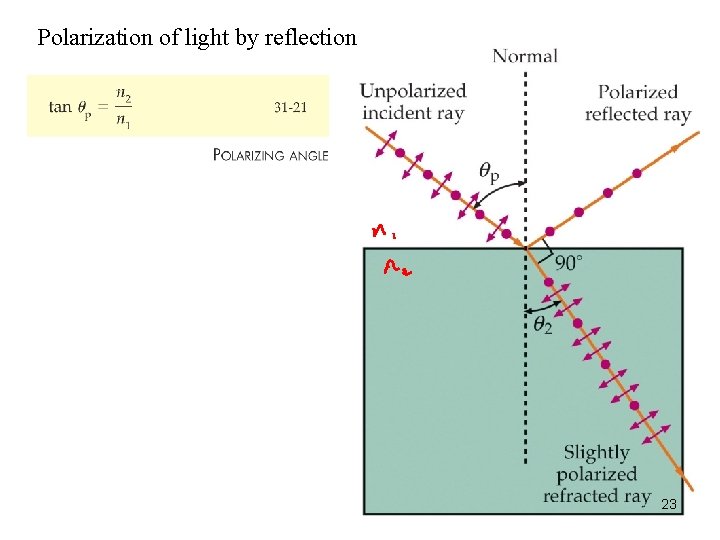 Polarization of light by reflection 23 