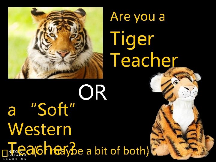 Are you a Tiger Teacher OR a “Soft” Western (or maybe a bit of