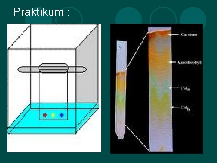 Praktikum : 