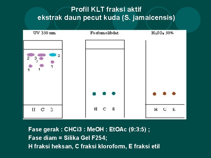 Profil KLT fraksi aktif ekstrak daun pecut kuda (S. jamaicensis) Fase gerak : CHCi