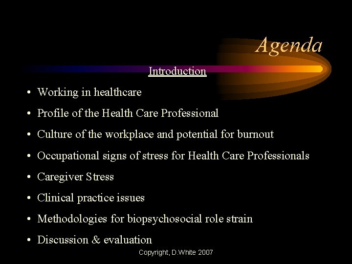 Agenda Introduction • Working in healthcare • Profile of the Health Care Professional •