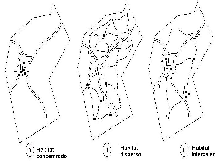 Hábitat concentrado Hábitat disperso Hábitat intercalar 