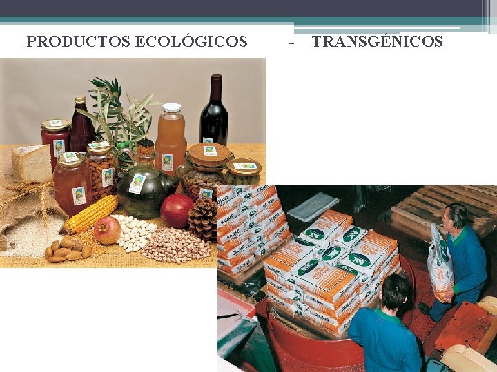 PRODUCTOS ECOLÓGICOS - TRANSGÉNICOS 