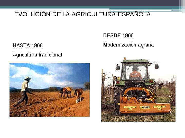 EVOLUCIÓN DE LA AGRICULTURA ESPAÑOLA DESDE 1960 HASTA 1960 Agricultura tradicional Modernización agraria 