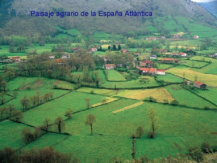 Paisaje agrario de la España Atlántica 