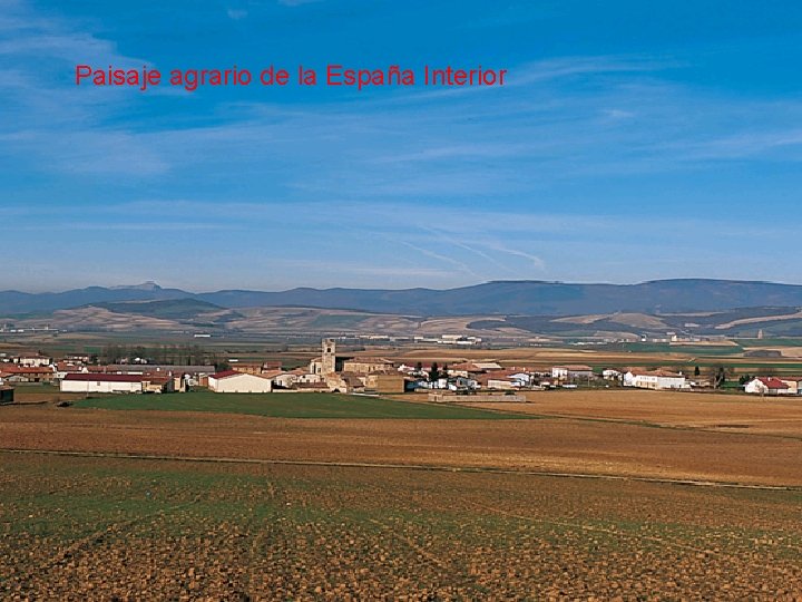 Paisaje agrario de la España Interior 