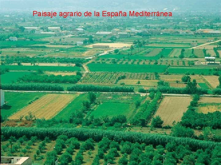Paisaje agrario de la España Mediterránea 