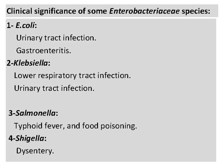 Clinical significance of some Enterobacteriaceae species: 1 - E. coli: Urinary tract infection. Gastroenteritis.