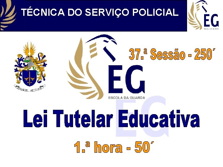 TÉCNICA DO SERVIÇO POLICIAL 