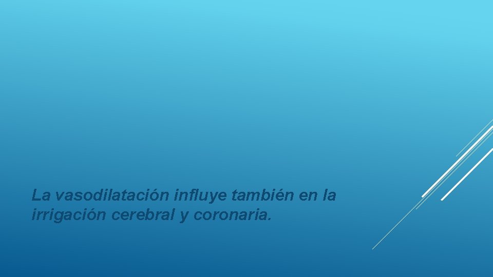 La vasodilatación influye también en la irrigación cerebral y coronaria. 